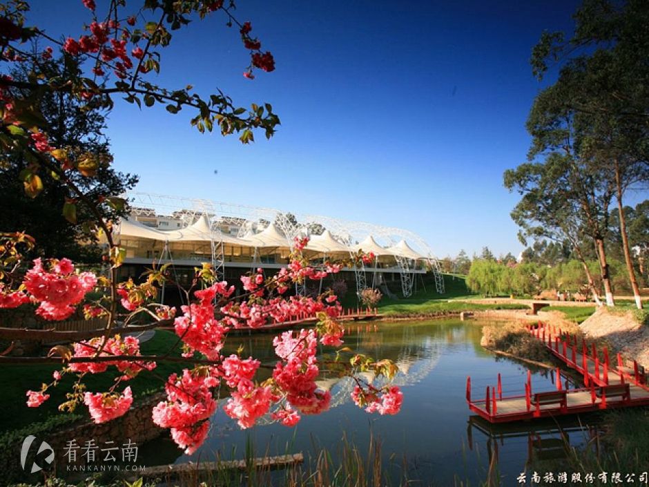 世博生态城实景图
