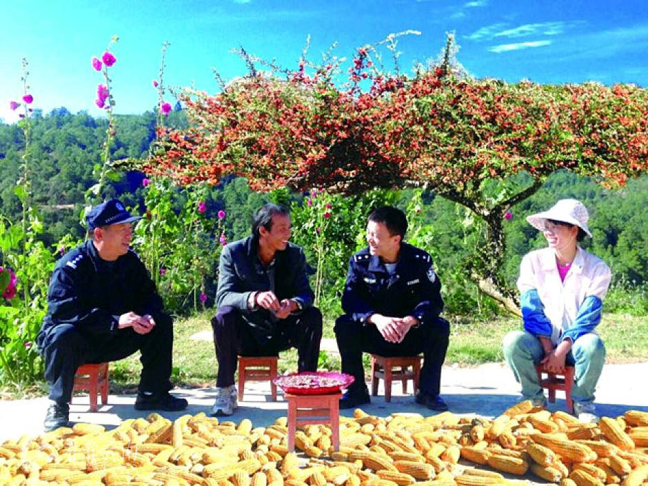 了解民情