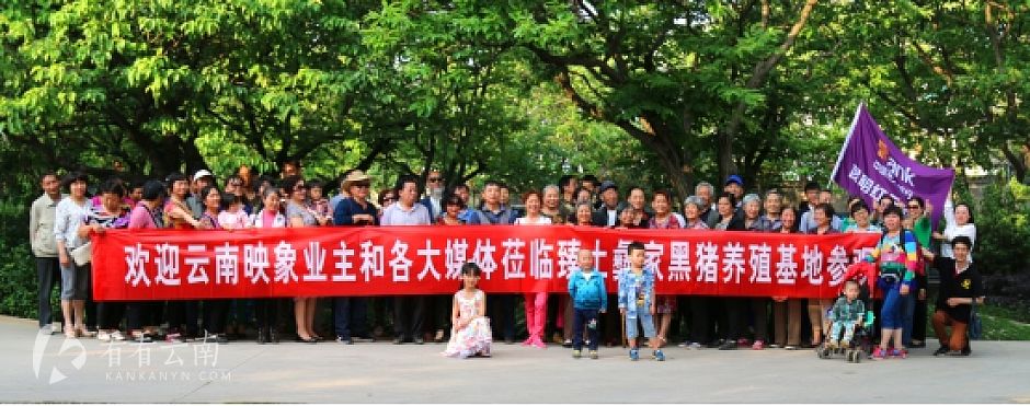 八零后海归和他们的“臻土”猪