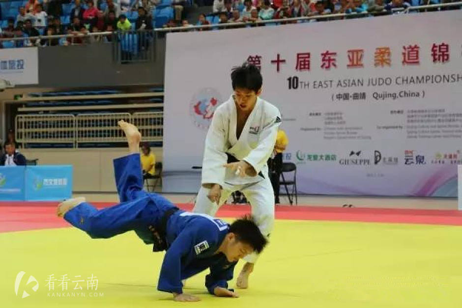 精彩回眸