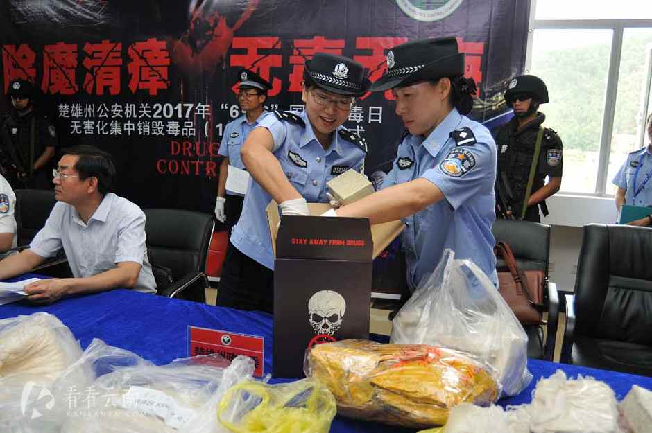 集中销毁毒品行动