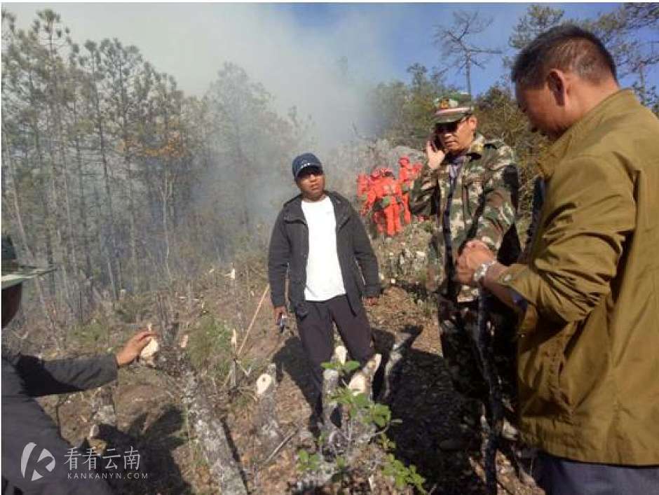 陈群市长向上级汇报火灾情况