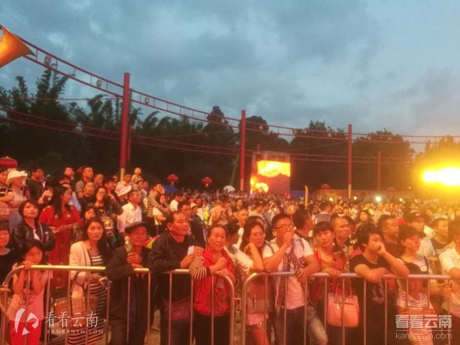 众多的参与市民