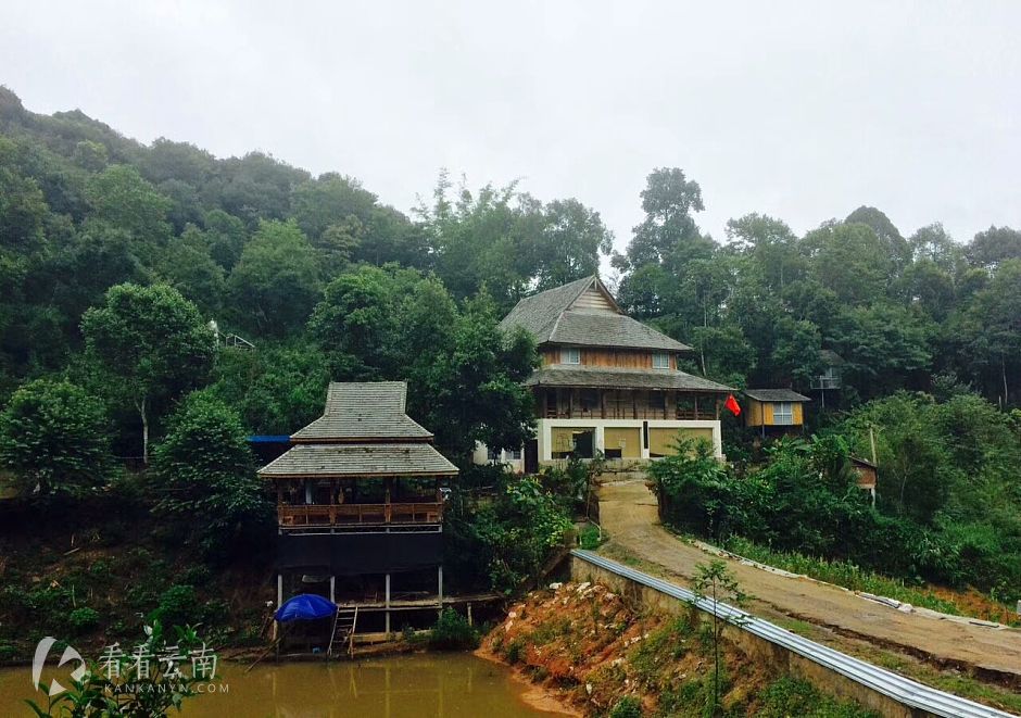 今日云南|西双版纳景洪南糯山