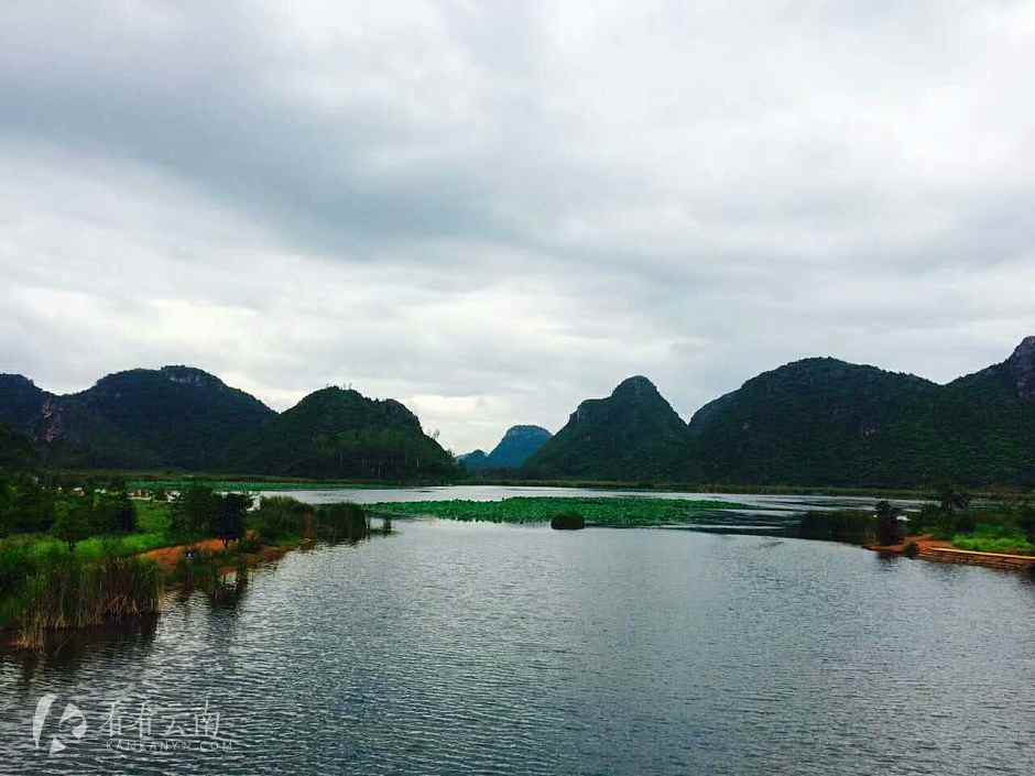 今日云南|普者黑天鹅湖畔