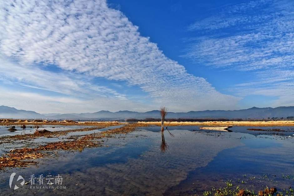 今日剑川 | 早晨的金色剑湖湖光