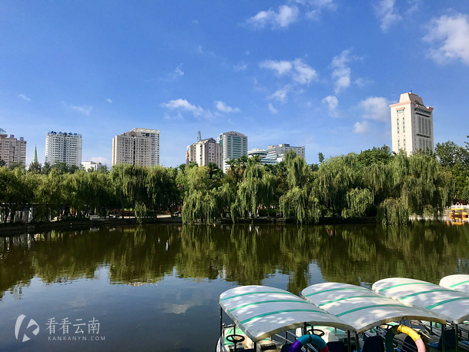今日云南|翠湖边的晨思