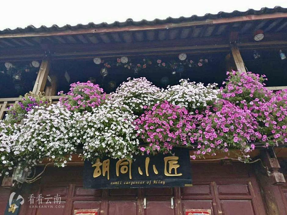 今日云南|丽江的胡同小匠