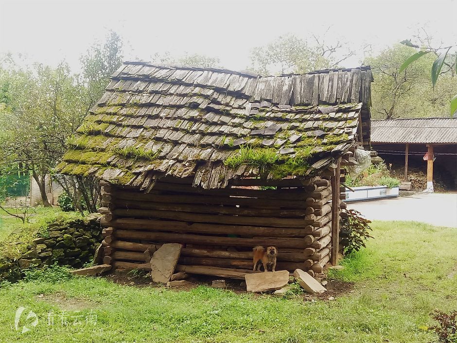 今日云南|漾濞云上的村庄