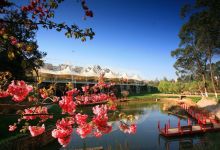 云南旅游一季度净利润11.48万元 同比增长100.93%-看看云南