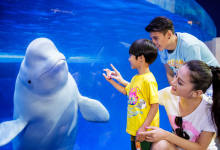 夏天的正确打开方式：来一场说走就走的家庭海洋亲子之旅！-看看云南