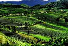 普洱：北回归线上完整的“绿海明珠”-看看云南