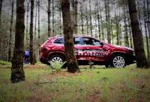 山林草地撒泼 JEEP自由光碾压别克昂科威/途观L-看看云南