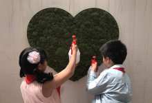 文明温暖一座城  盘龙区惊现创文“苔藓创意涂鸦墙”-看看云南