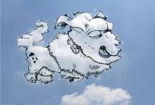 昆明的云要被玩坏了 这么嗨的活动你不来参与一下？-看看云南