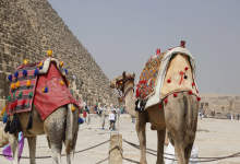 探秘之旅：玩不够的埃及-看看云南