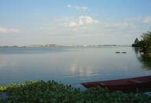 滇池草海水质上半年达Ⅴ类 水体透明度上升-看看云南