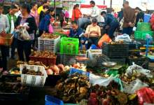 南华县7天野生菌交易额达交易额达6718.6万元-看看云南