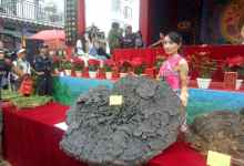 南华美食文化节，这个菌王价值15000元-看看云南