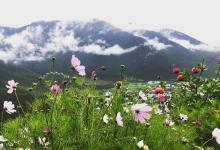 这一次，我遇到了真正的香格里拉-看看云南