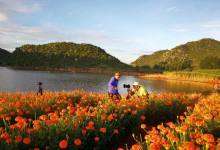今日云南|被万寿菊包围的小海子-看看云南