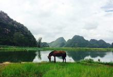 今日云南|普者黑天鹅湖畔-看看云南