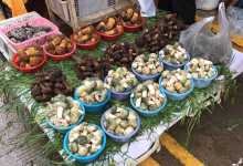 今日云南|昆明篆新农贸菌子鲜-看看云南