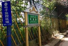 今日云南|瑞丽中缅街-看看云南