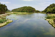 今日云南|到青丘去做一回上神如何？-看看云南