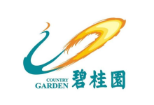 碧桂园上半年销售额2889.1亿元 已交付物业均价6900元/㎡-看看云南