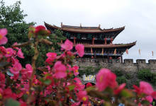 今日云南|大理古城门前繁花锦簇-看看云南