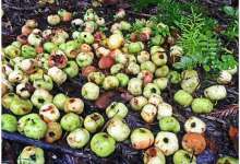 今日云南|不一样的呈贡-看看云南