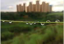 今日云南|晶莹剔透的呈贡-看看云南