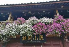 今日云南|丽江的胡同小匠-看看云南