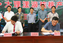 2017年云南·大理漾濞核桃节签下协议金额6亿元-看看云南