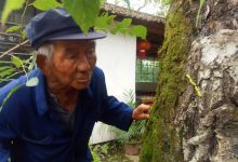 今日云南|漾濞云上的村庄-看看云南