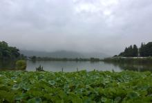 今日云南|腾冲和顺古镇晨雨-看看云南