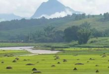 全国特色小镇云南之五|从其它地方迁来居住的村庄——勐马-看看云南