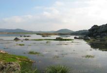 今日云南|沾益海峰湿地之晨-看看云南