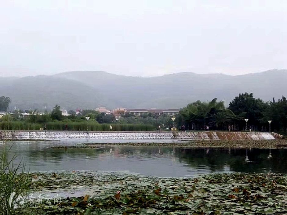 今日云南|弥勒湖泉生态园