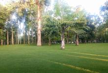 今日云南|秋天的昆明依旧绿色如春-看看云南