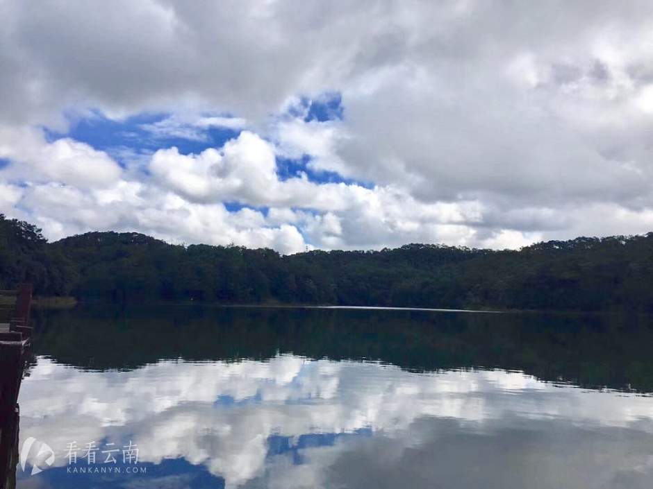 今日云南|普洱梅子湖