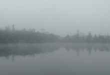 今日云南|西双版纳大益庄园-看看云南