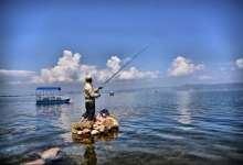 一锅铜锅鱼走天下：在抚仙湖，我们吃的是鱼还是“黄金”？-看看云南