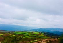 今日云南|东川的红土地变绿了-看看云南