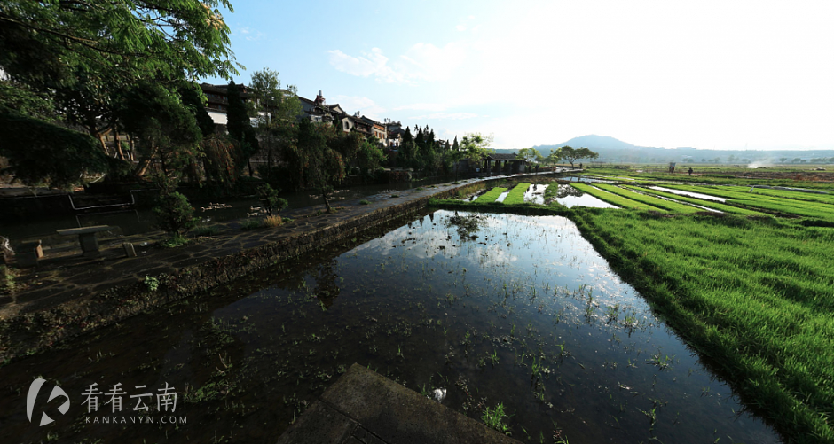 今日云南 | 腾冲和顺古镇早晨的安逸