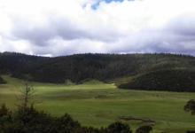 今日云南｜离天堂最近的地方香格里拉-看看云南