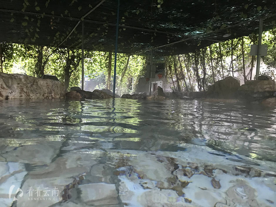 今日云南|云南人喜欢的农家乐温泉