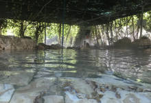 今日云南|云南人喜欢的农家乐温泉-看看云南