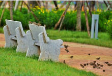 今日云南|宣威美奂广场-看看云南